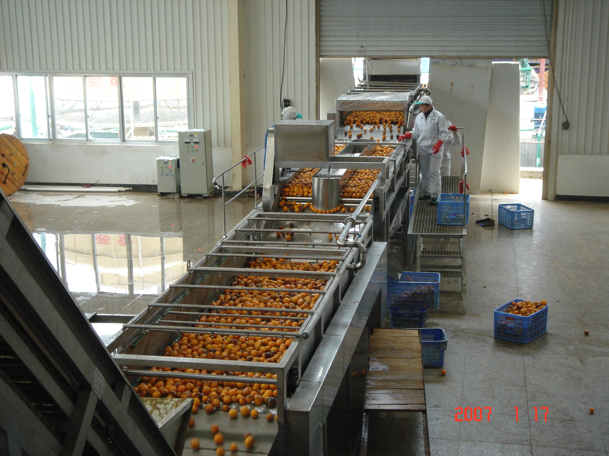 大型橙加工生产线